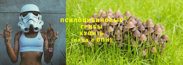 дурь Володарск